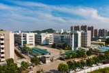 公司3